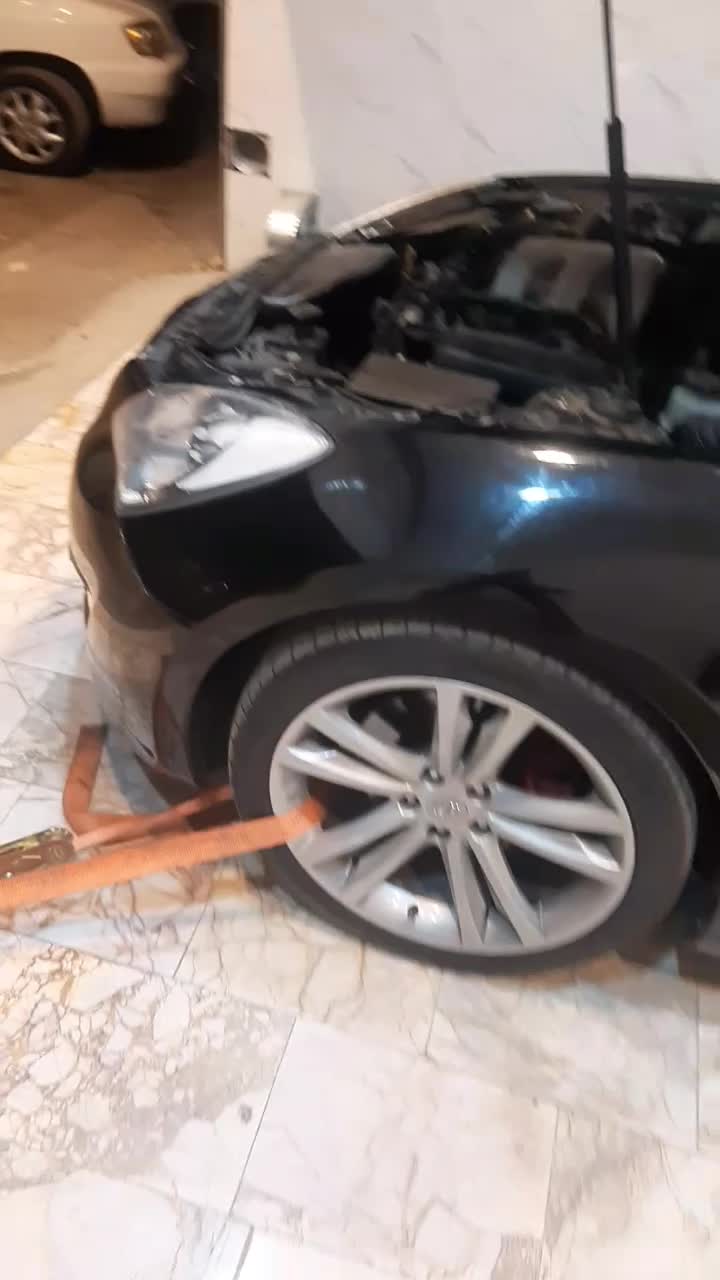 داینو ریمپ|خدمات موتور و ماشین|مشهد, نوید|دیوار