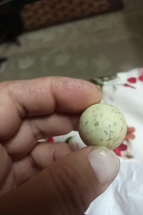 سنگ کروی وقدیمی الماس آسیاب|کلکسیون اشیاء عتیقه|مشهد, نوید|دیوار