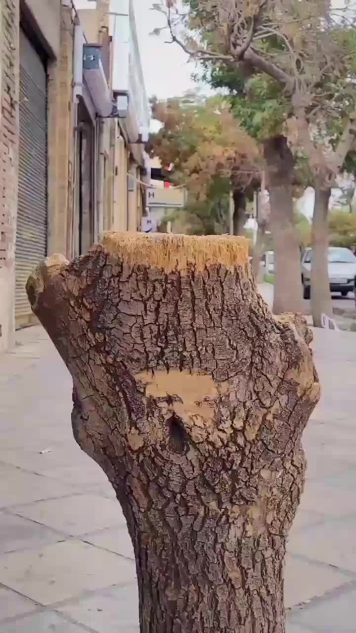 چاقو ( آهن بُر )|کوهنوردی و کمپینگ|کرمانشاه, |دیوار