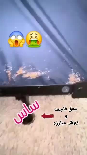 سمپاشی ساس بروزترین روش سم پاشی سوسک تزریق ژل گاز|خدمات نظافت|قدس, شهر‌قدس|دیوار