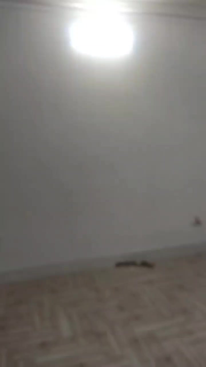 رهن و اجاره آپارتمان ۱۴ معصوم|اجارهٔ آپارتمان|کاشمر, |دیوار