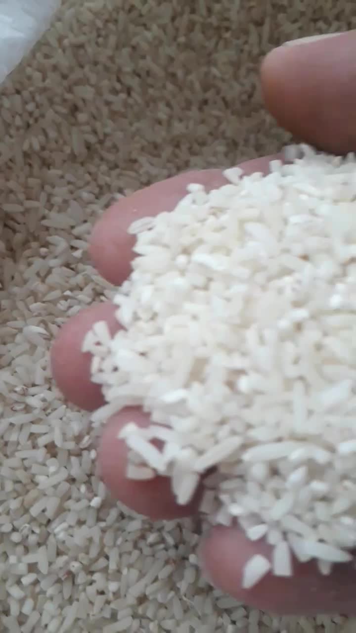 نیمدانه هاشمی  از شهرستان شفت چوبر ۱۲ کیلو|خوردنی و آشامیدنی|رشت, پل تالشان|دیوار