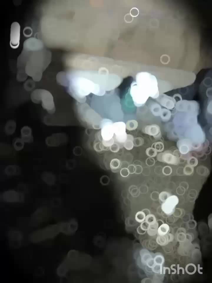 نر به شرت|پرنده|قیدار, |دیوار