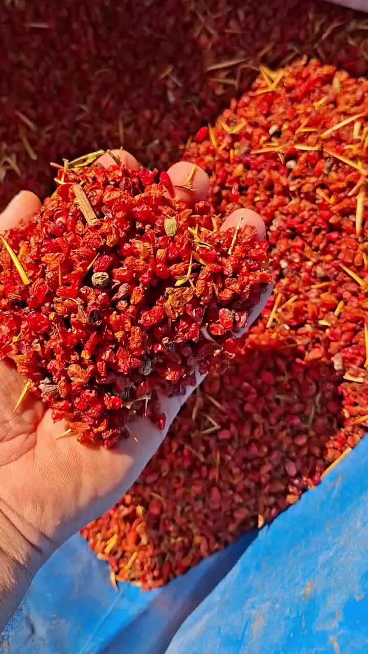 زرشک سرلیزری|خوردنی و آشامیدنی|قائن, |دیوار