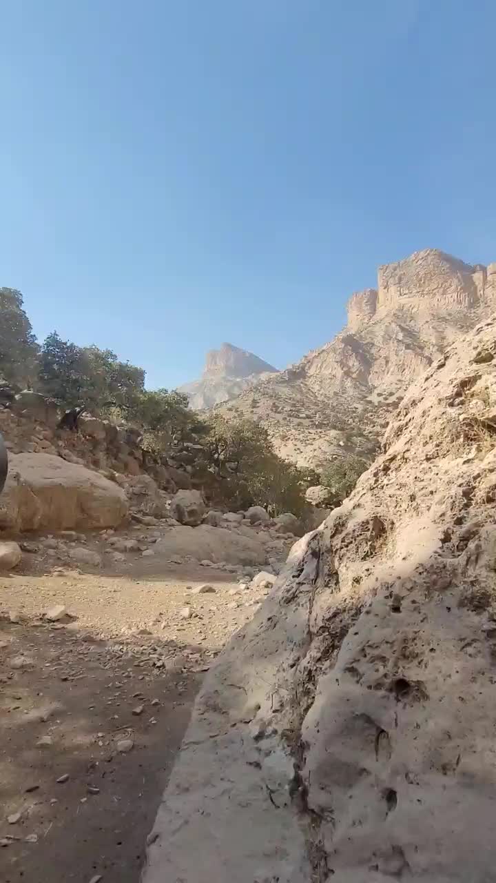 دوربین شکاری مئوپتا|کوهنوردی و کمپینگ|دره شهر, |دیوار