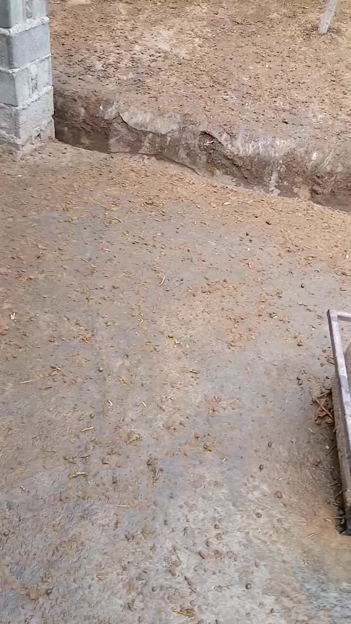 گوسفندو بزوبزغاله|حیوانات مزرعه|املش, |دیوار