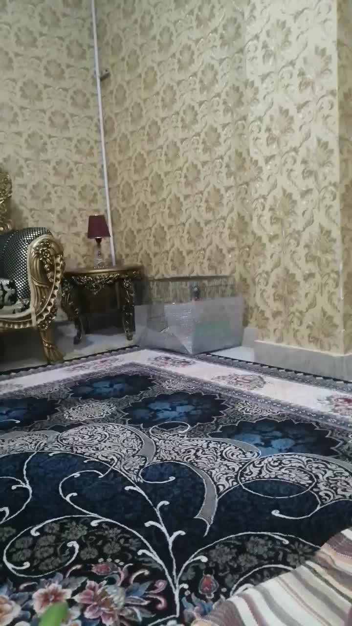 جفت عروس هلندی آوازخوان با لوازم کامل نگهداری|پرنده|رودهن, |دیوار