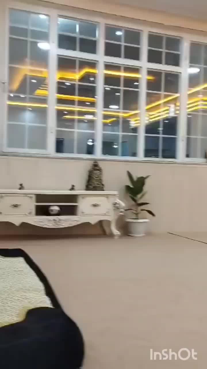 سفیدکاری و گچ بری نقد و اقساط|خدمات پیشه و مهارت|لردگان, |دیوار