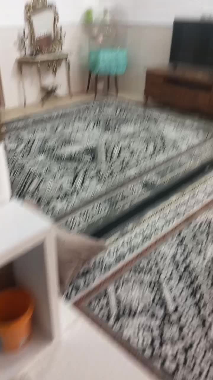عروس هلندی|پرنده|قم, انصار‌الحسین|دیوار