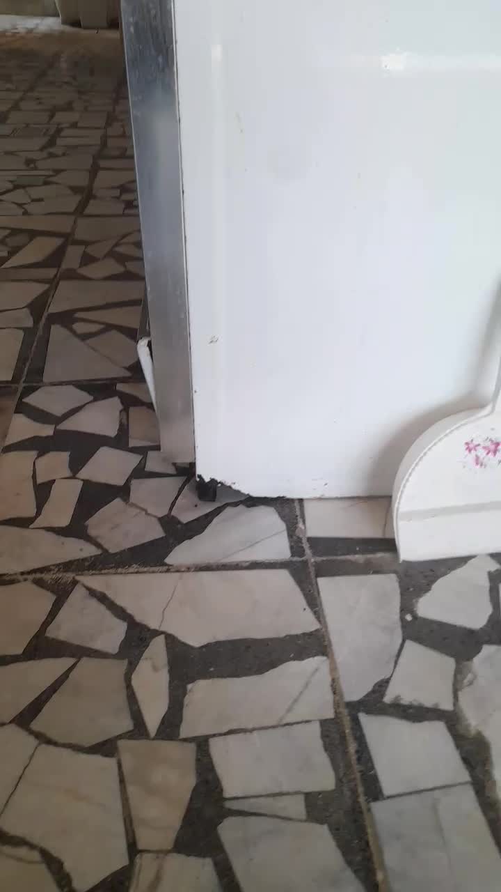 گاز۵ شعله فردار|اجاق گاز و لوازم برقی پخت‌وپز|قائم‌شهر, |دیوار