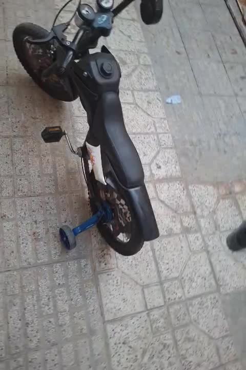 دوچرخه|دوچرخه، اسکیت، اسکوتر|یاسوج, |دیوار