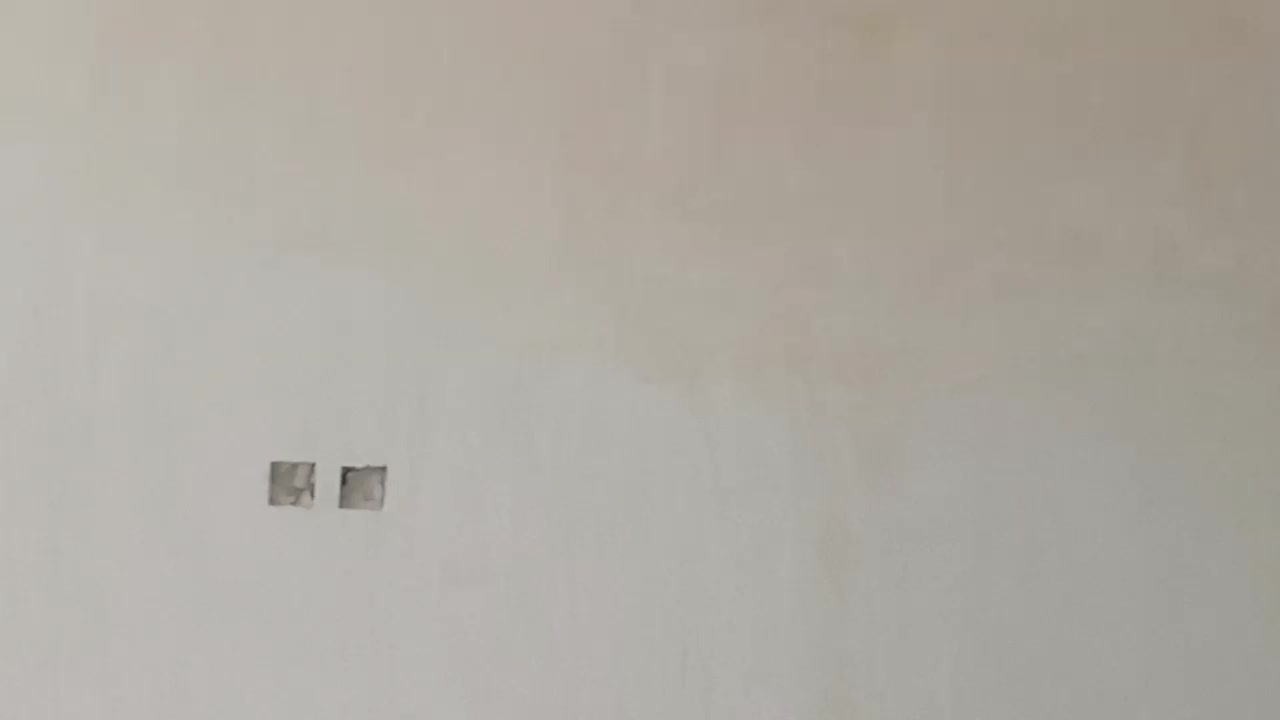 گچ کاری ساختمان|خدمات پیشه و مهارت|کازرون, |دیوار