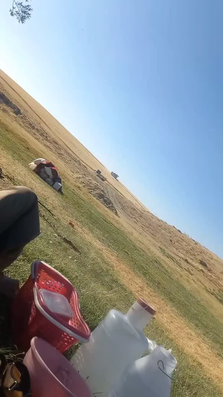 خریدار کاه ویونجه|خدمات باغبانی و درختکاری|امام, |دیوار