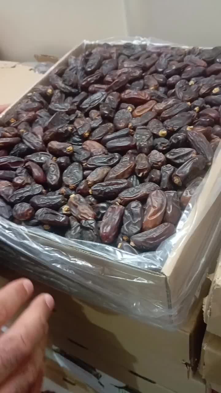 خرما ربی|عمدهفروشی|تهران, طرشت|دیوار