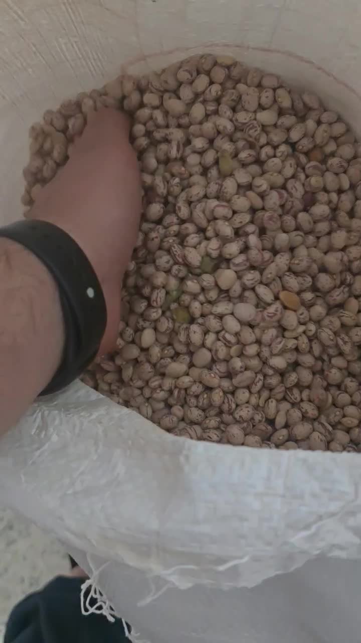 لوبیا چیتی|خوردنی و آشامیدنی|شیراز, کوشک میدان|دیوار