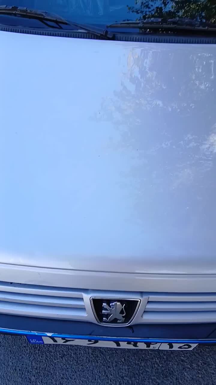 روآسال دوگانه سوز مدل ۸۹بدون رنگ عتیقه|خودرو سواری و وانت|تبریز, |دیوار