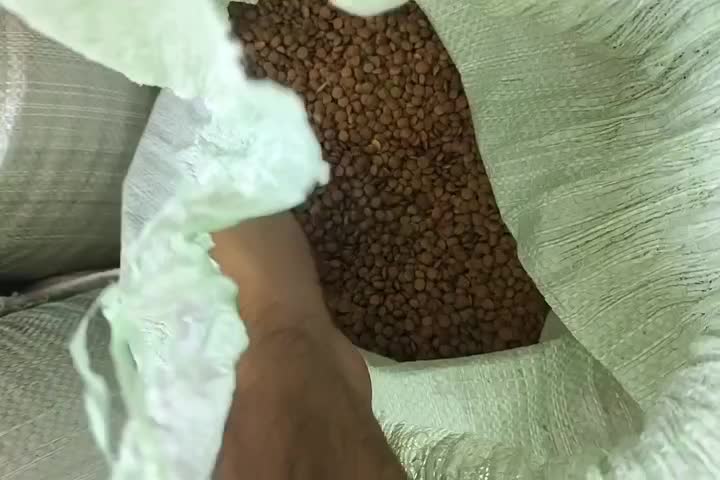 عدس|خوردنی و آشامیدنی|گرگان, |دیوار