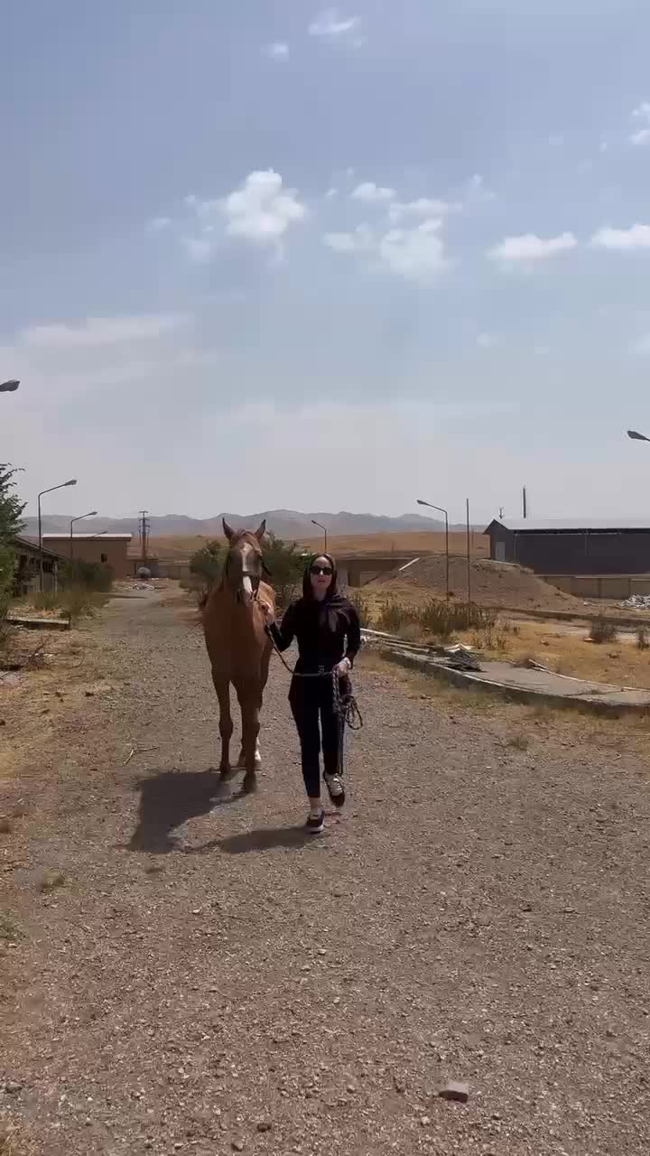 لوازم کفش جوراب باشگاه سوارکاری پرورش اسب آموزش|اسب و تجهیزات اسبسواری|محمدشهر, شهرک چمران|دیوار