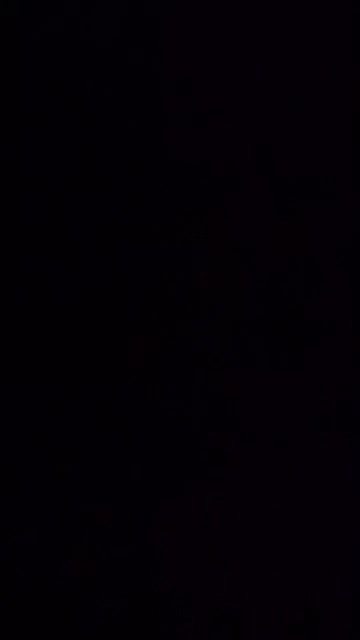 سگ ماده سرابی اصل در راور|سگ|راور, |دیوار