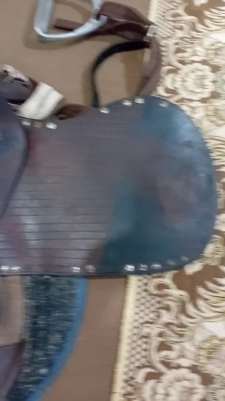 زین اسب|اسب و تجهیزات اسبسواری|شوشتر, |دیوار