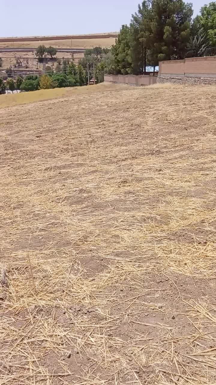 فروش زمین ۱ هکتار|فروش زمین و ملک کلنگی|چگنی, |دیوار