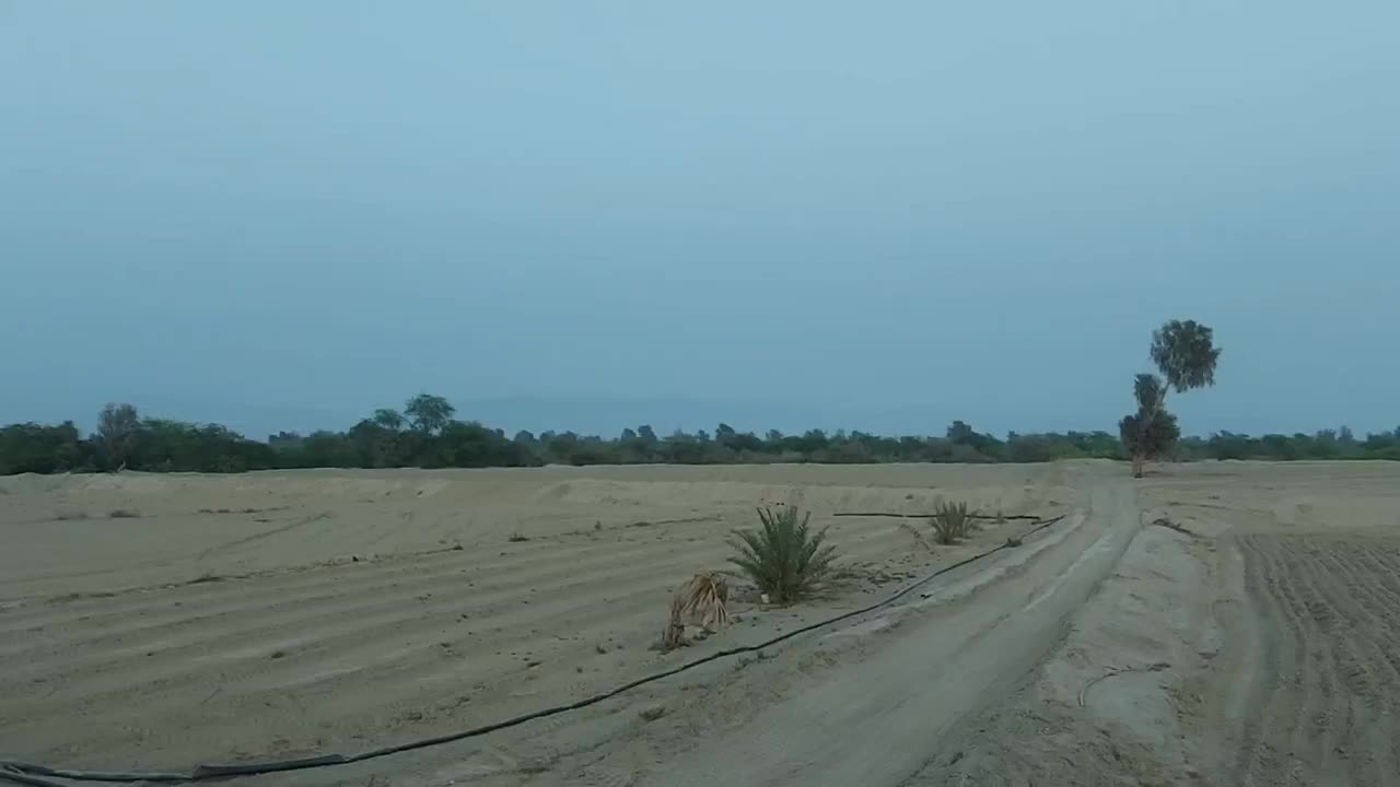 فروش زمین کشاورزی بیست هکتار|فروش دفتر صنعتی، کشاورزی، تجاری|بندرعباس, |دیوار