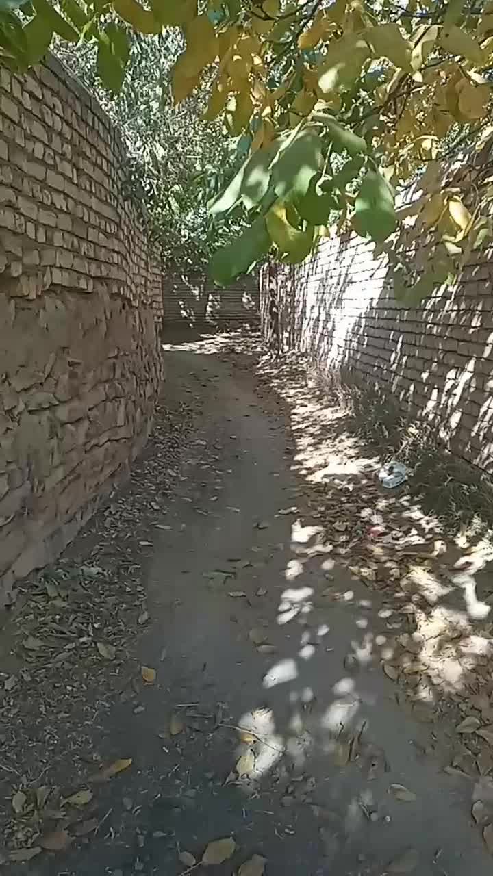 فروش زمین نقلی در مشهداردهال .(ویژه همه اقشار )|فروش زمین و ملک کلنگی|قم, مصلاء|دیوار