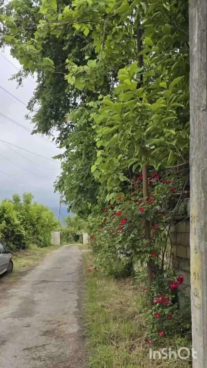 اجاره خانه ویلایی ۷۵ متری ۱ خوابه|اجارهٔ خانه و ویلا|نشتارود, |دیوار
