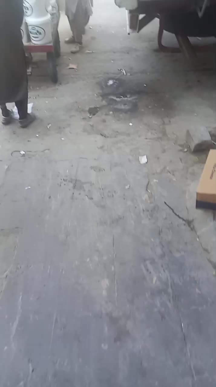 شرکت پخش صباح|عمده‌فروشی|سراوان, |دیوار