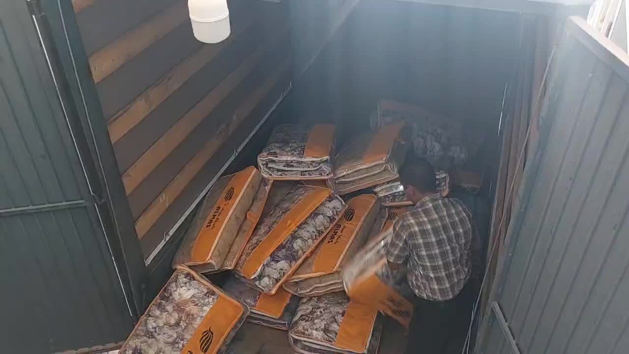 پخش تشک الماس|تشک تختخواب|یاسوج, |دیوار