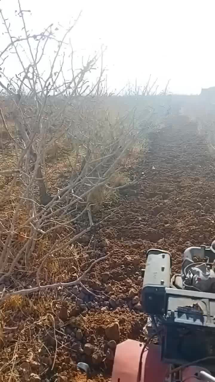 تیلردستـی|خدمات باغبانی و درختکاری|زرند, |دیوار