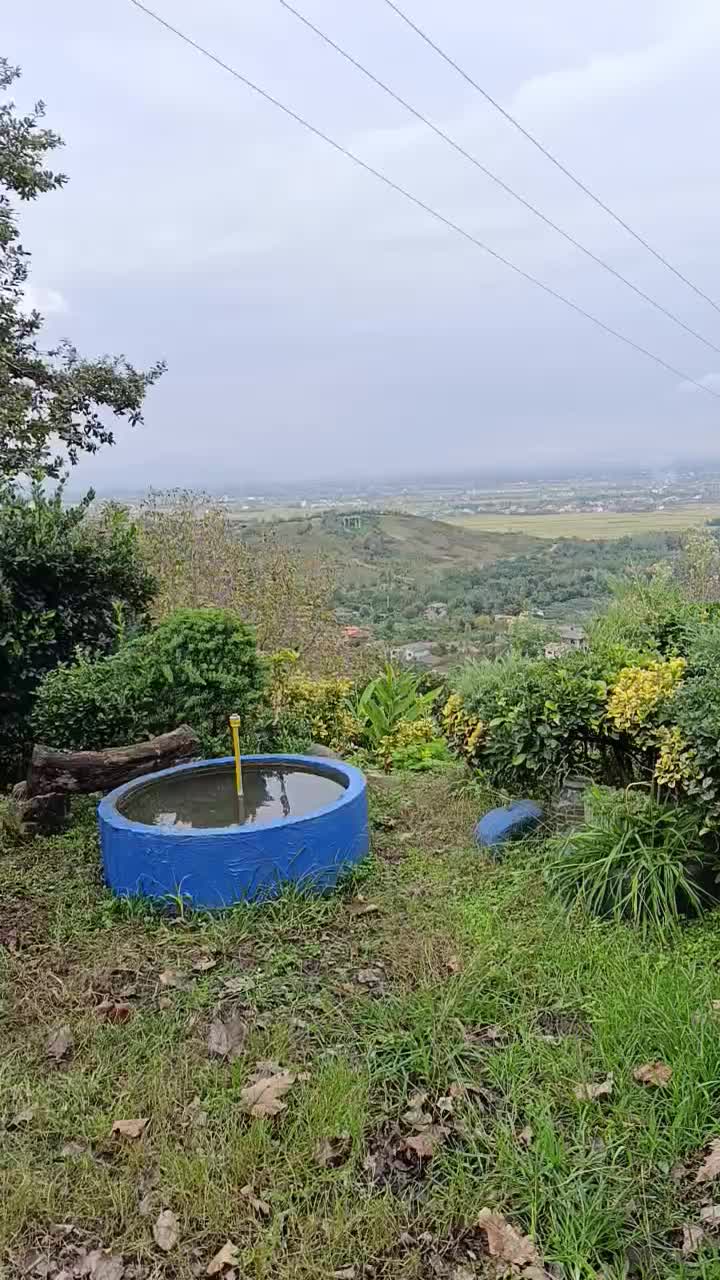 ۳قطعه زمین ۶۰۰متری کنار هم بر جاده،قطعه ای ۱۲۰۰|فروش زمین و ملک کلنگی|واجارگاه, |دیوار