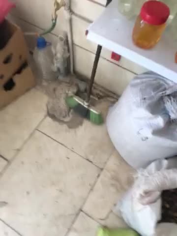 پره تیغ همزن /له کن|خردکن، آسیاب، غذاساز|رفسنجان, |دیوار