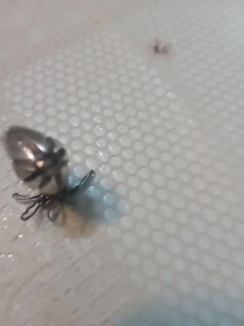 انگشترالماس ۱۵م انواع سنگ انگشتر یاقوت.زمرد.کبود|جواهرات|مشهد, احمدآباد|دیوار