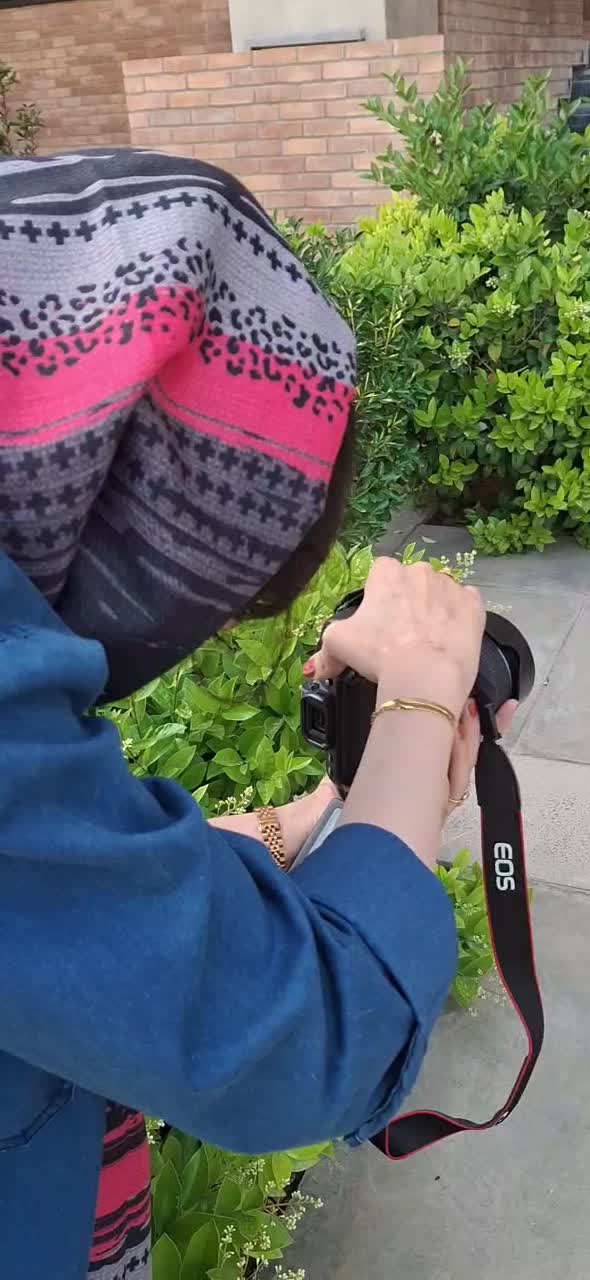 عکاسی فضای باز|خدمات پذیرایی، مراسم|یزد, |دیوار