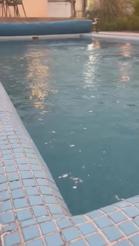 اجاره ویلا با استخر آبگرم لواسان|اجارهٔ کوتاه‌مدت ویلا و باغ|لواسان, |دیوار