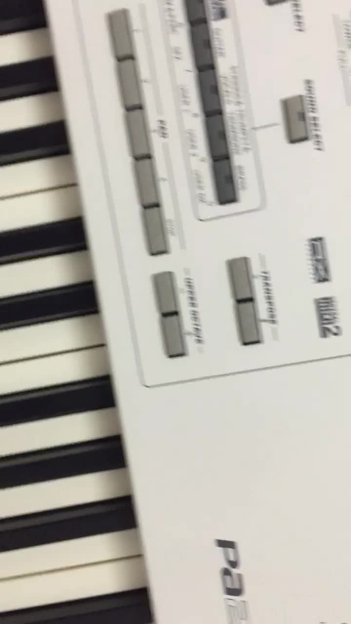 ارگ پیاتو ایکس درحدنو|پیانو، کیبورد، آکاردئون|جلفا, |دیوار