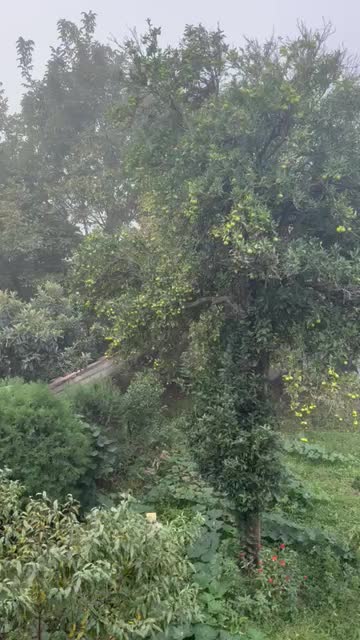 ویلا دوبلکس ویو ابدی ماسال شاندرمن|فروش خانه و ویلا|ماسال, |دیوار