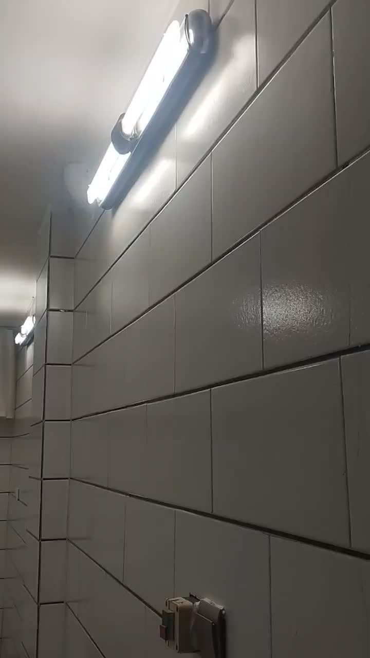 زیر زمین مسکونی و سوییت و گارگاهی|اجارهٔ خانه و ویلا|خمینیشهر, |دیوار