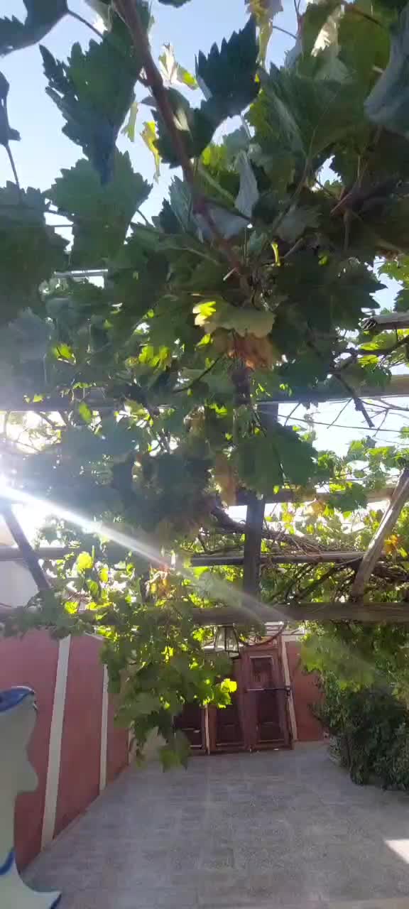 اجاره روزانه ویلابخش برزک دهستان گلاب روستای ازوار|اجارهٔ کوتاه‌مدت ویلا و باغ|کاشان, فاز ۱ ناجی آباد|دیوار