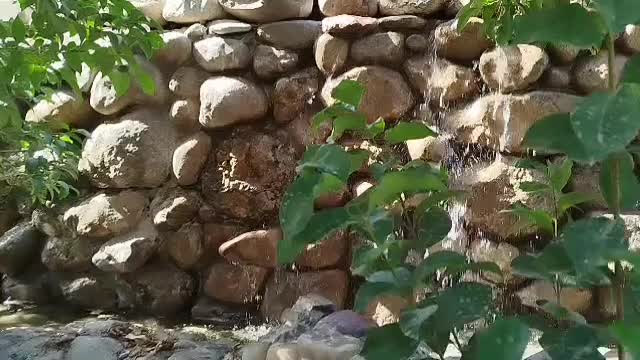 زمین باغ|فروش خانه و ویلا|تلو, |دیوار