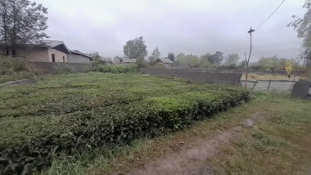 اجاره روزانه ساعتی خانه روستایی آرام باامکانات|اجارهٔ کوتاه‌مدت آپارتمان و سوئیت|لاهیجان, بازکیاگوراب|دیوار