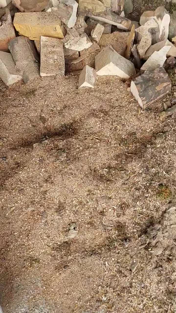 خاک اره باغی|عمده‌فروشی|خوش‌رودپی, |دیوار