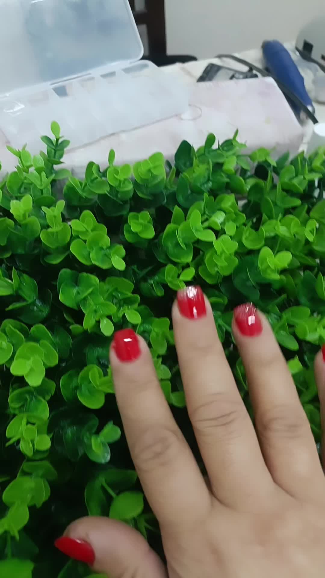 سالن زیبایی ملکه با بهترین قیمت و بالاترین کیفیت|خدمات آرایشگری و زیبایی|قائم‌شهر, |دیوار