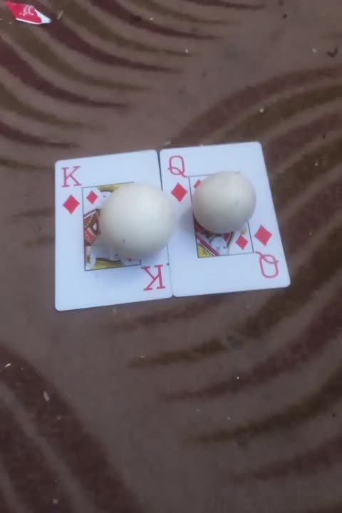 سنگ آسیاب|کلکسیون اشیاء عتیقه|فردوس (خراسان), |دیوار