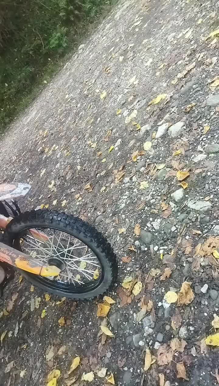 فلات ۲۰۰ بی نظیر|موتورسیکلت|سلمانشهر, |دیوار