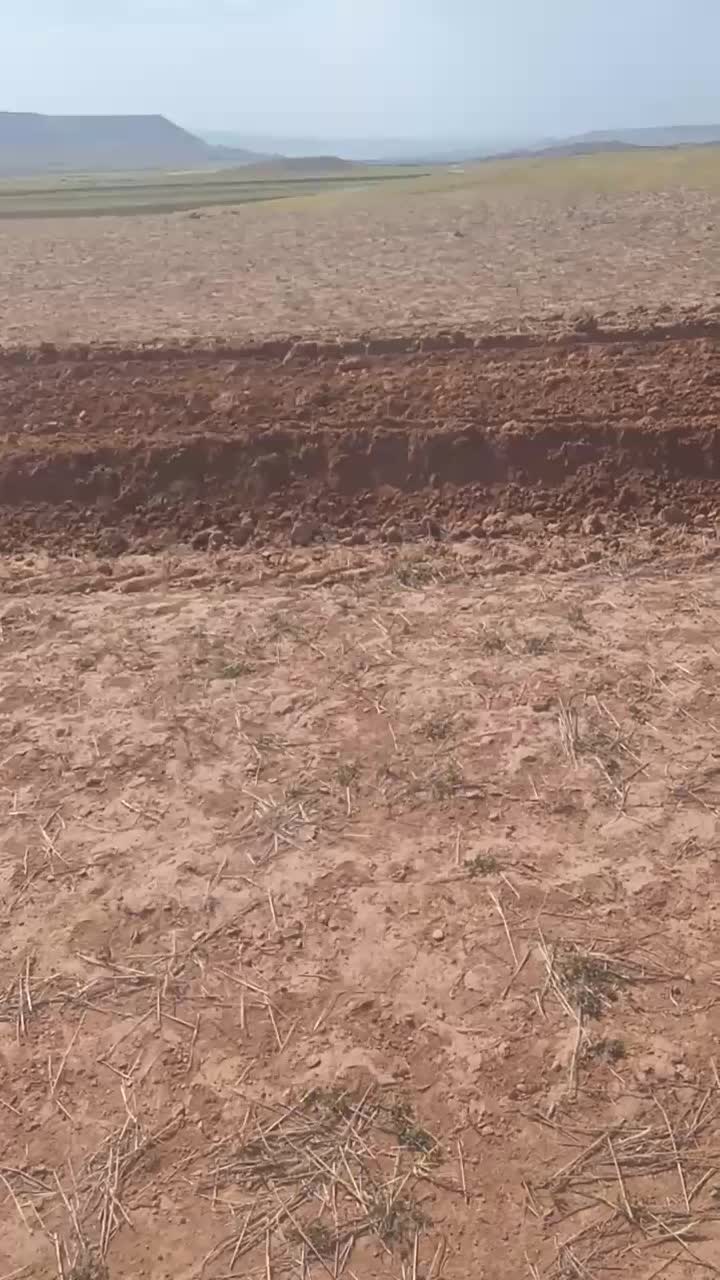 تراکتور۸۰۰ جفت|خودرو سنگین|کبودرآهنگ, |دیوار