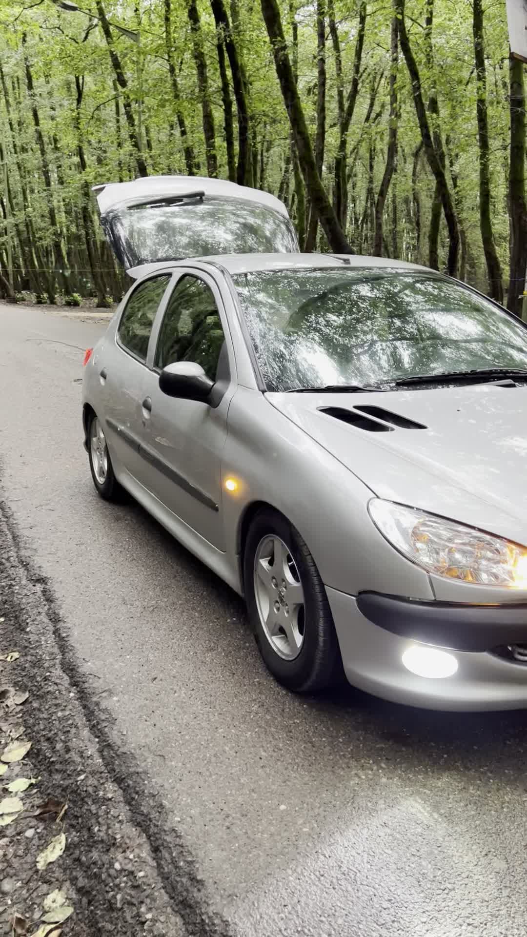 پژو ۲۰۶ مدل ۸۵ در حد ۹۵|خودرو سواری و وانت|تالش, طولارود|دیوار