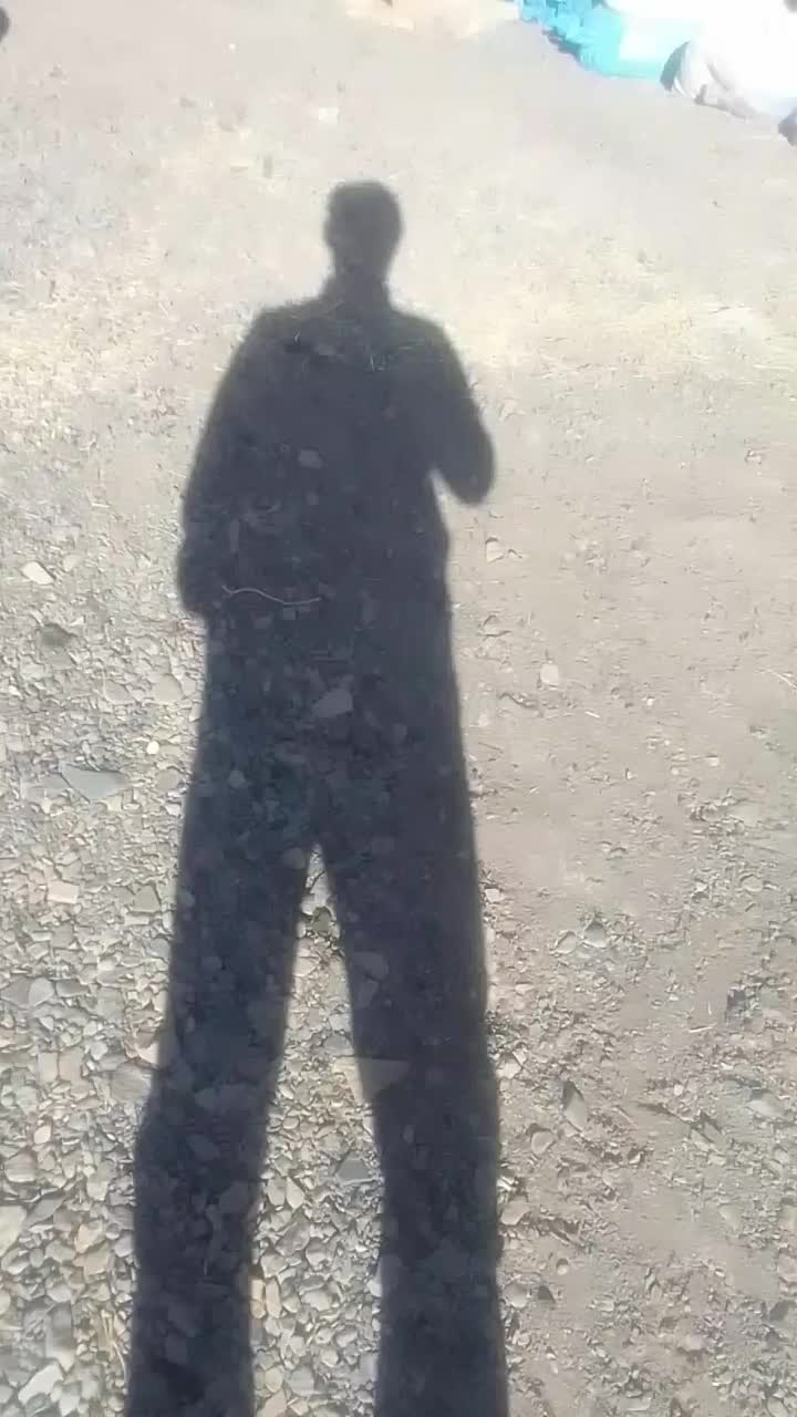 کفه گندم کاه گندم دار بار ضمانتی|لوازم جانبی حیوانات|تایباد, |دیوار