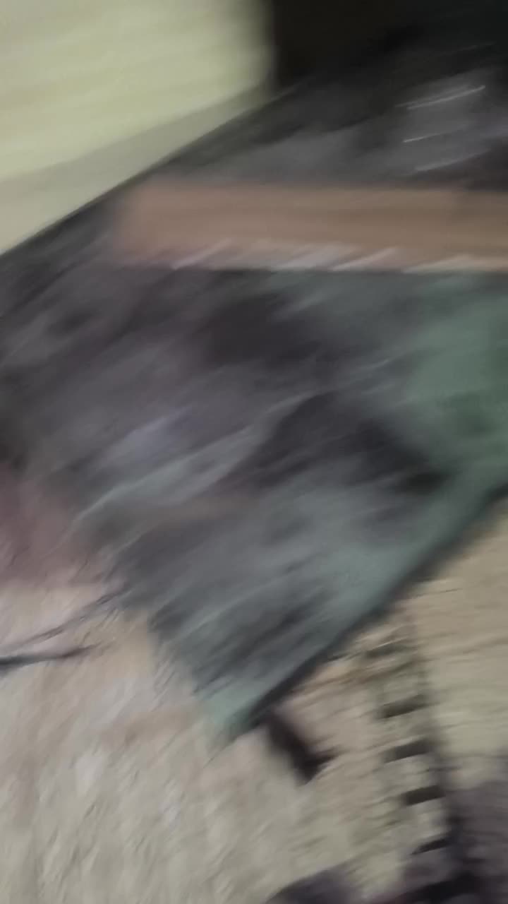 واگذاری سگ|سگ|کرمان, |دیوار